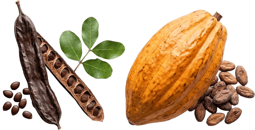 CARRUBA E CACAO.