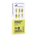 Cioccolato di Modica IGP Pistacchio di Sicilia 100g — pack-shot frontale