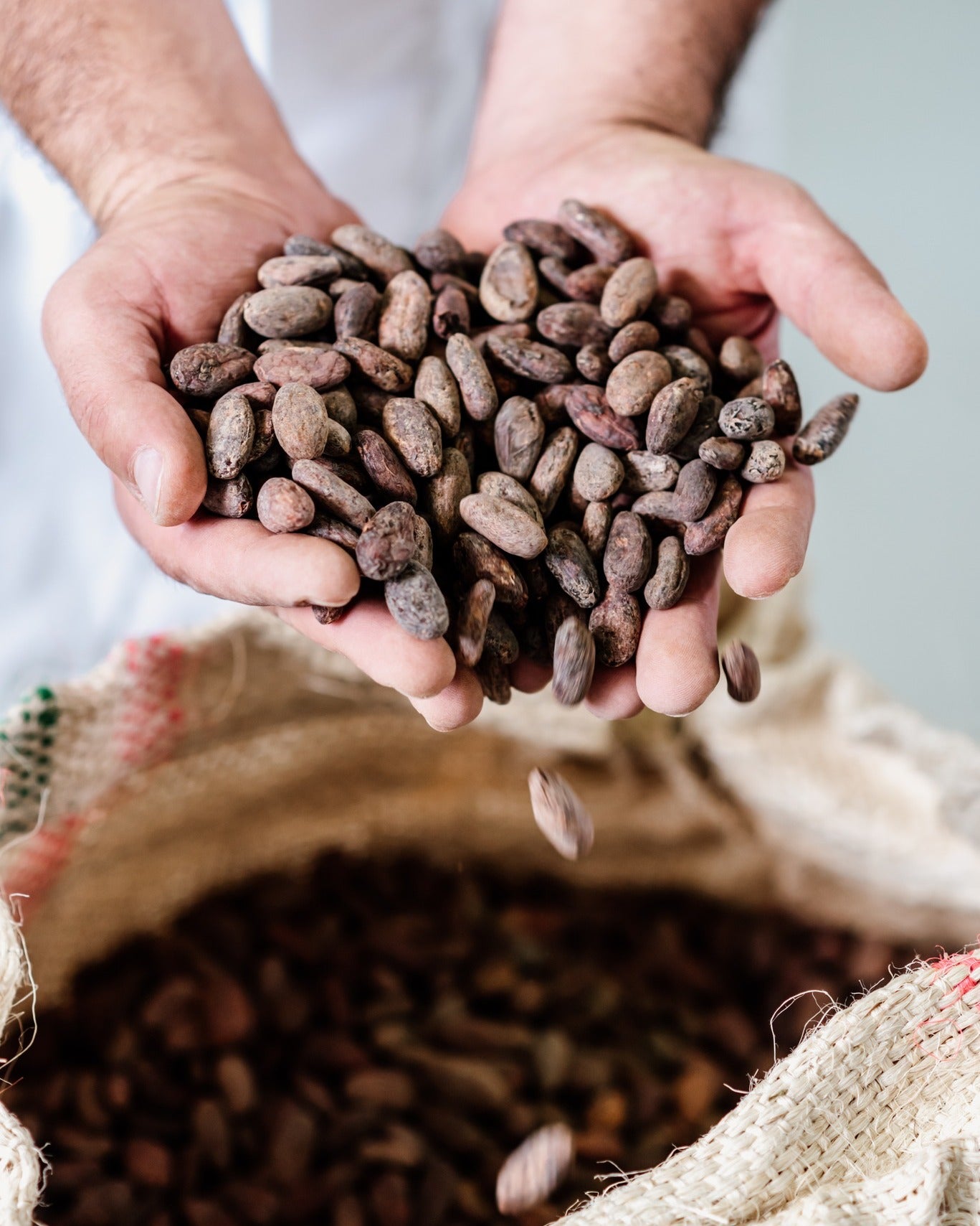 DALLE FAVE DI CACAO AL CIOCCOLATO